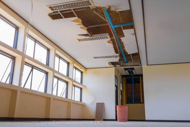Best Commercial water damage restoration  in Rehobeth, AL