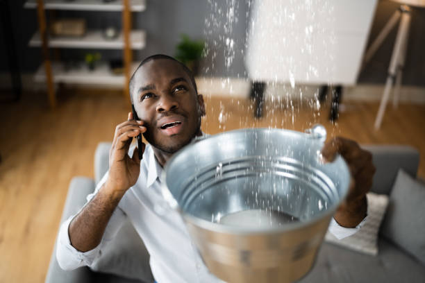 Best Mold removal after water damage  in Rehobeth, AL