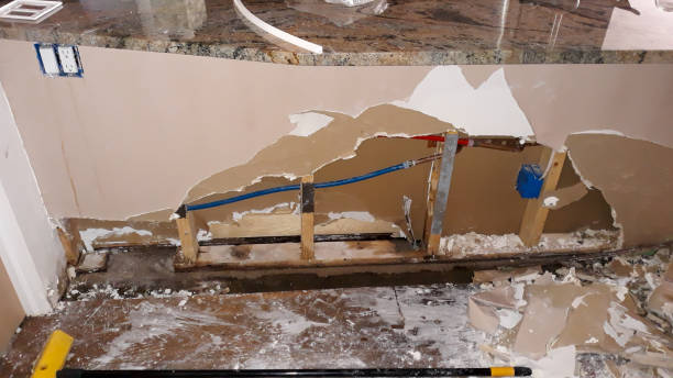 Best Flooded house restoration  in Rehobeth, AL