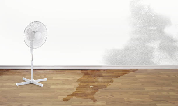 Best Water damage restoration cost  in Rehobeth, AL
