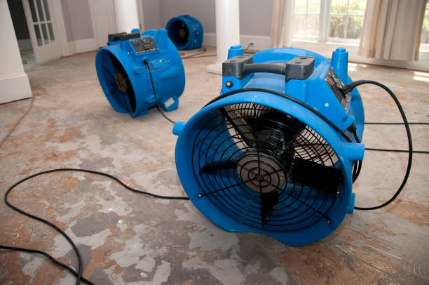 Best 24-hour water damage restoration  in Rehobeth, AL