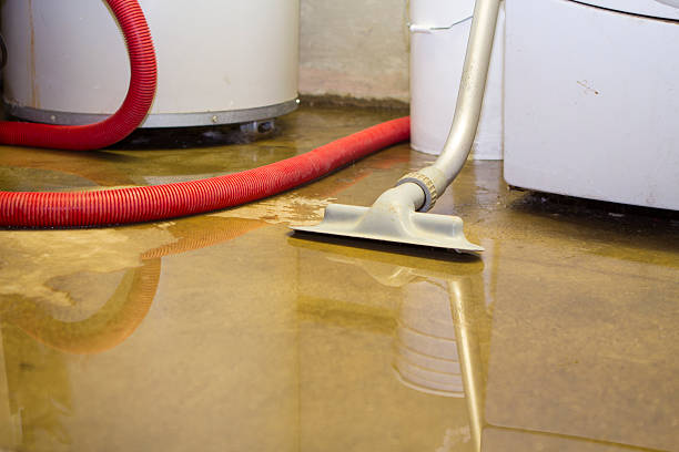 Best Water damage cleanup near me  in Rehobeth, AL