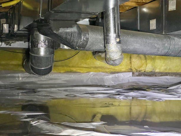  Rehobeth, AL Water damage restoration Pros