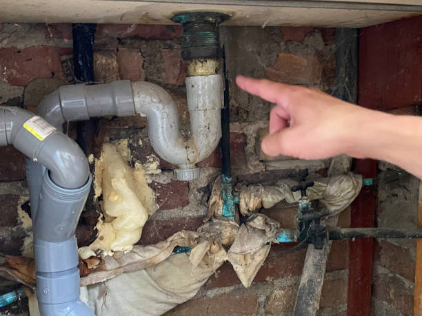 Best Water damage restoration process  in Rehobeth, AL