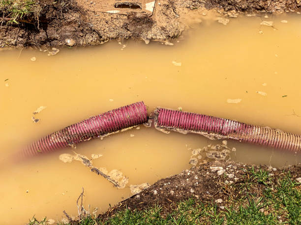 Best Flood restoration services  in Rehobeth, AL