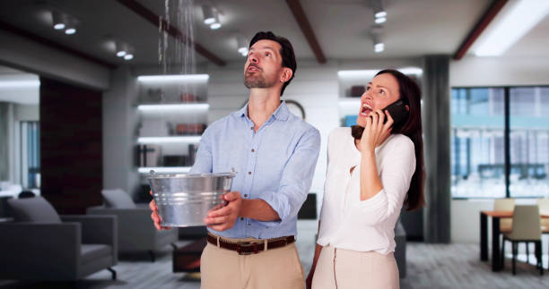 Best 24/7 water damage repair  in Rehobeth, AL